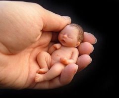 ABORTO: EL DERECHO A LA VIDA NO ES UN DERECHO MÁS, SINO EL FUNDAMENTO SINE QUE NON DE TODOS LOS DERECHOS HUMANOS Aborto-2